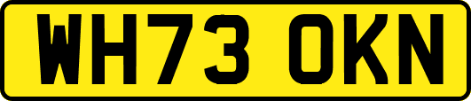 WH73OKN