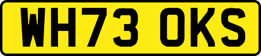 WH73OKS