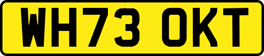 WH73OKT
