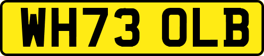 WH73OLB