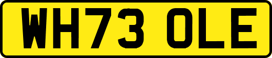 WH73OLE