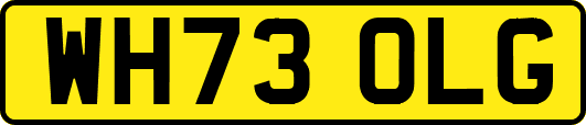 WH73OLG