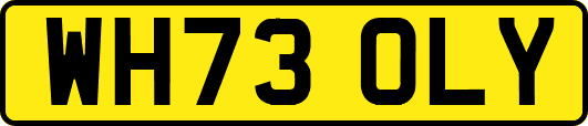 WH73OLY