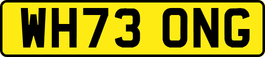 WH73ONG