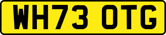 WH73OTG