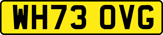 WH73OVG