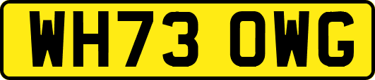 WH73OWG