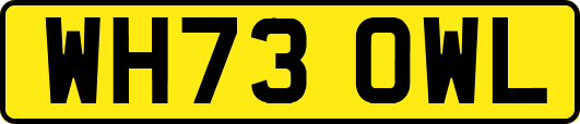 WH73OWL