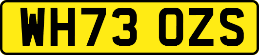 WH73OZS