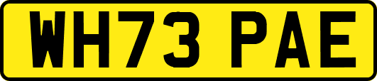 WH73PAE