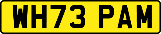 WH73PAM
