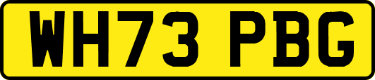 WH73PBG