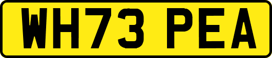 WH73PEA