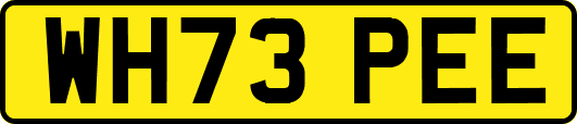 WH73PEE