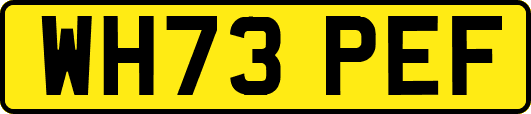 WH73PEF