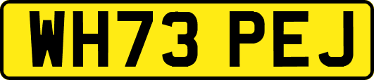 WH73PEJ