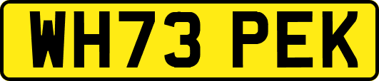 WH73PEK