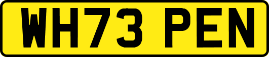 WH73PEN
