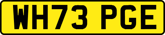 WH73PGE
