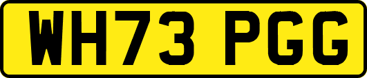 WH73PGG