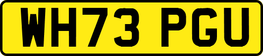 WH73PGU