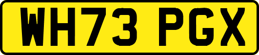 WH73PGX
