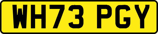 WH73PGY