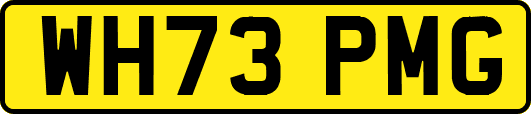 WH73PMG