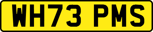 WH73PMS