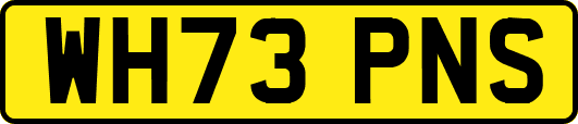 WH73PNS