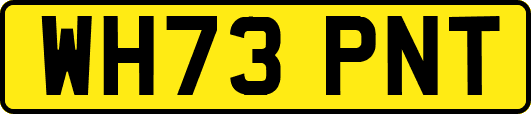 WH73PNT