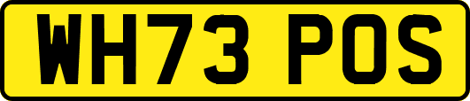 WH73POS