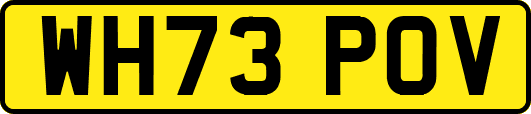 WH73POV
