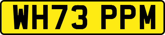 WH73PPM