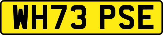 WH73PSE