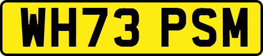 WH73PSM