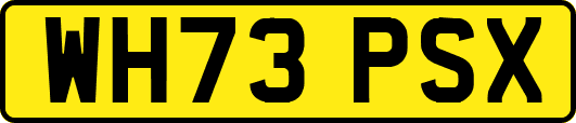 WH73PSX