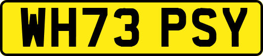 WH73PSY