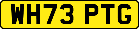 WH73PTG