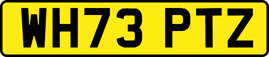 WH73PTZ