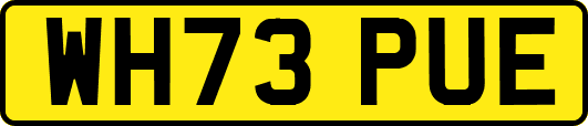 WH73PUE
