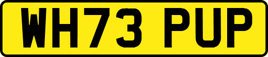 WH73PUP