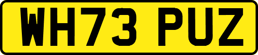 WH73PUZ