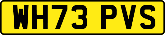 WH73PVS