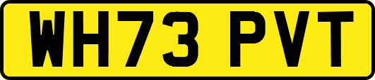 WH73PVT
