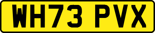 WH73PVX