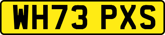 WH73PXS