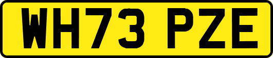 WH73PZE
