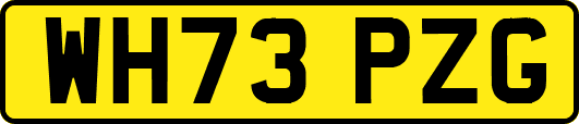 WH73PZG