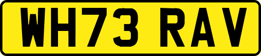 WH73RAV